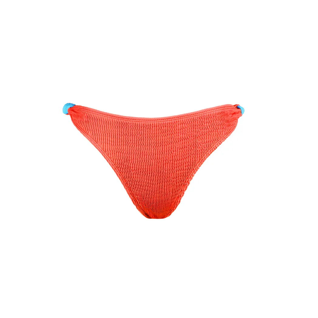 Cleonie | BORA BORA BRIEF MULTI (all colours)